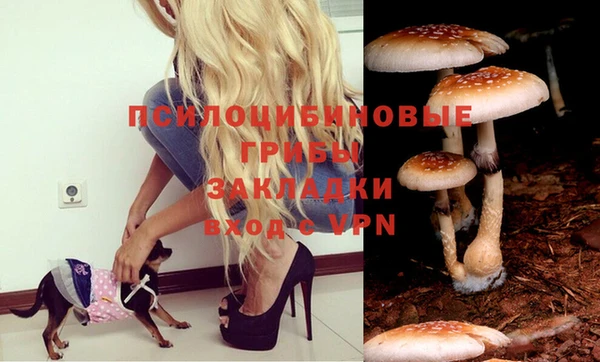 стафф Абаза
