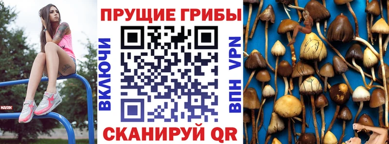 Галлюциногенные грибы MAGIC MUSHROOMS  Приволжский 